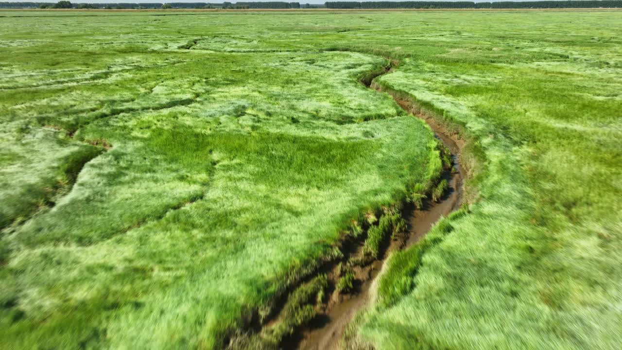 toma aérea inclinada de un río que serpentea a través de humedales verdes brillantes en un parque natural, debajo de un cielo azul claro de verano