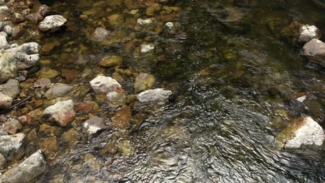 Calm-stream-of-water-with-rocky-riverbed-in-tranquil-New-Zealand-nature