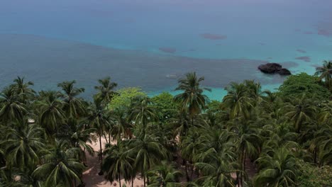 avión no tripulado sobre árboles tropicales hacia la playa de agua de color turquesa en la isla de são tomé e príncipe