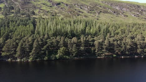 drone shot of a mountain lake with trees on it's shore