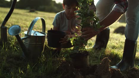 Tracking-Video-Von-Großvater-Und-Enkel-Beim-Pflanzen-Eines-Baumes