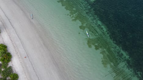 persona aérea caminando por una playa de arena blanca y un barco de pesca tradicional remando a lo largo de la costa de una isla tropical remota, vista de pájaro de arriba hacia abajo