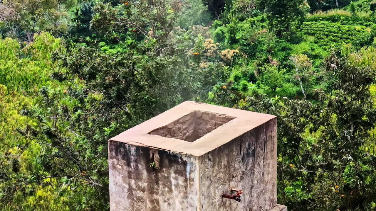 A weathered chimney at Uva Halpewatte Tea Factory stands amid lush green tea plantations and tropical vegetation in Sri Lanka