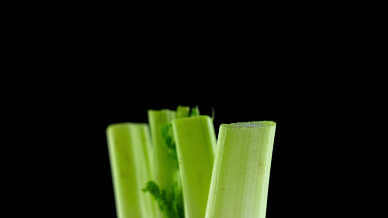 el hinojo fresco con tallos cortados y hojas suaves se vuelve negro