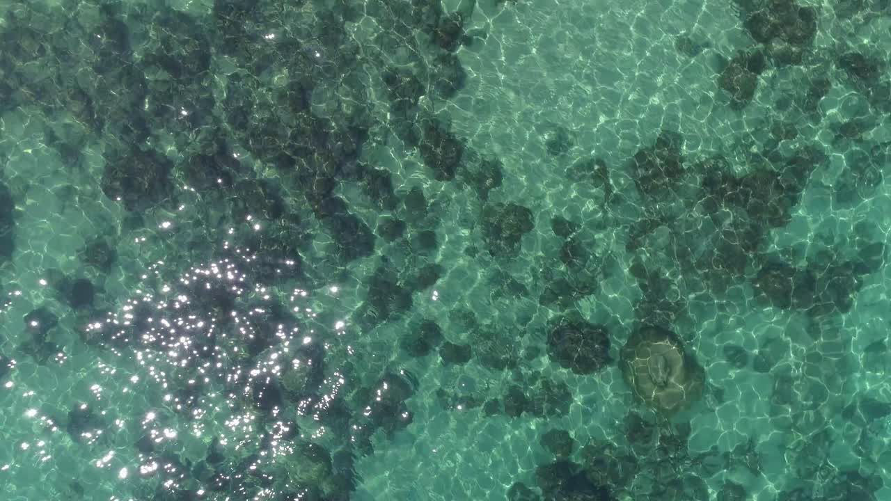 hacer snorkel en aguas claras de color turquesa