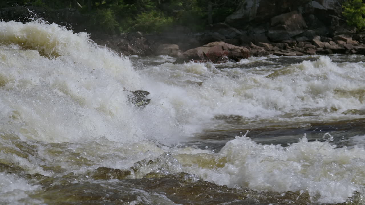 강에서 슬로우 모션으로 화이트 워터 카약