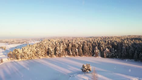 Majestätischer-Winterwald-Und-Felder-Bei-Schneefall-An