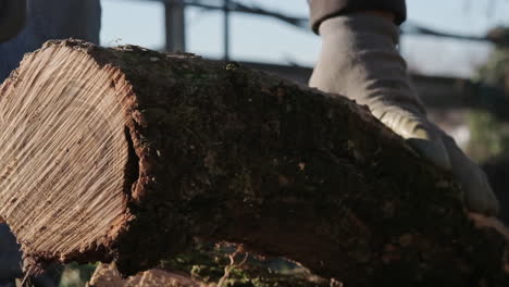 Primer-Plano-De-Las-Manos-De-Un-Maderero-Colocando-Troncos-De-Madera-Para-Cortar-Al-Aire-Libre