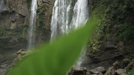 el hombre se para frente a una gran cascada de la selva tropical con hojas en primer plano