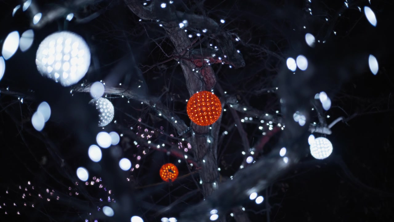 Holidays decorations on a tree at night