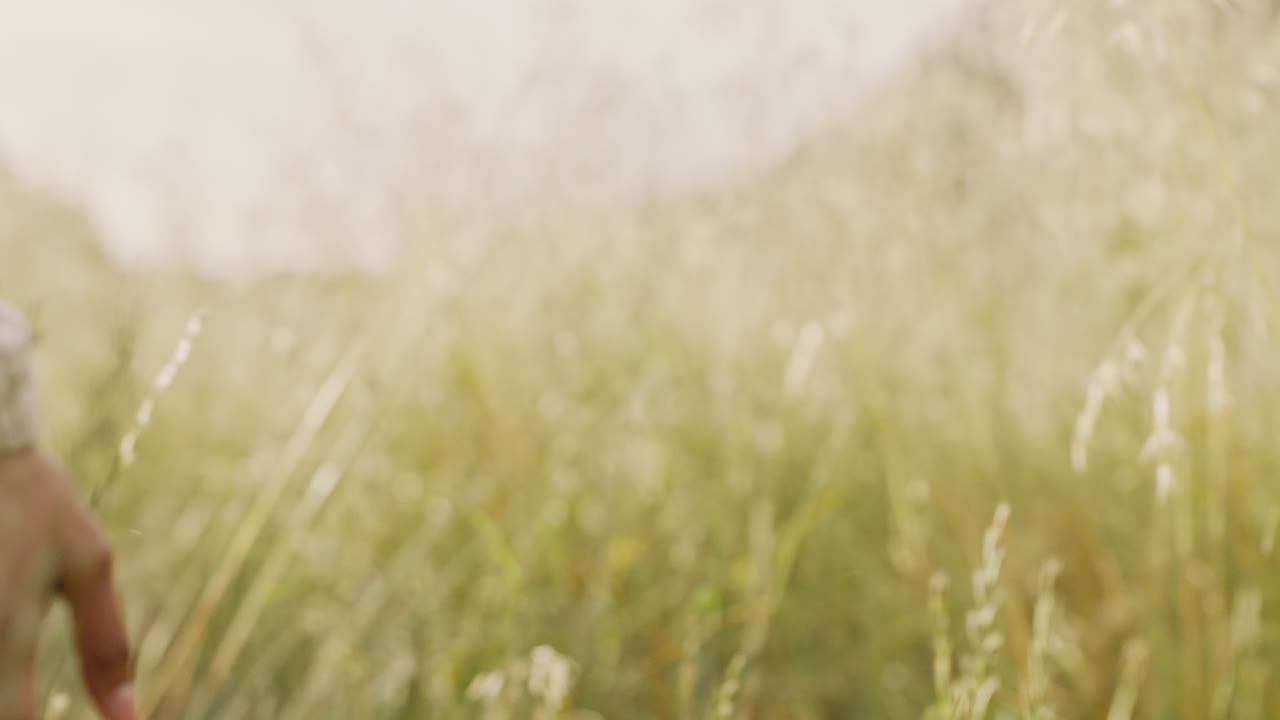 손, 밀과 인도 여성과 함께  ⁇ 고