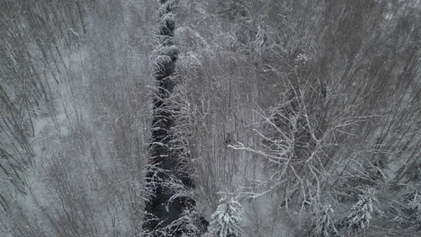 Luftaufnahme-Eines-Elches,-Der-Durch-Den-Verschneiten-Wald-Läuft