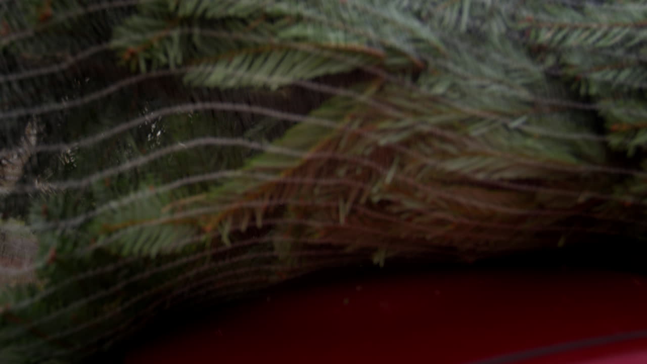 크리스마스 트리 를 차 의 지붕 에 고정 하는 부부