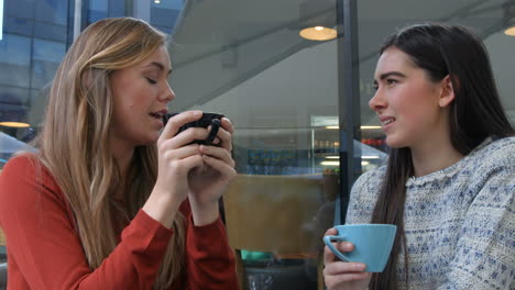 pretty friends chatting over coffee in cafe