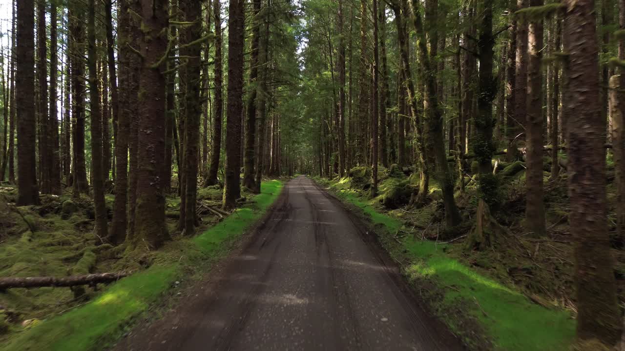 그레이 베이 포레스트 (grey bay forest) 는 캐나다 bc의 자연 경로를 따라 있는 길이다.