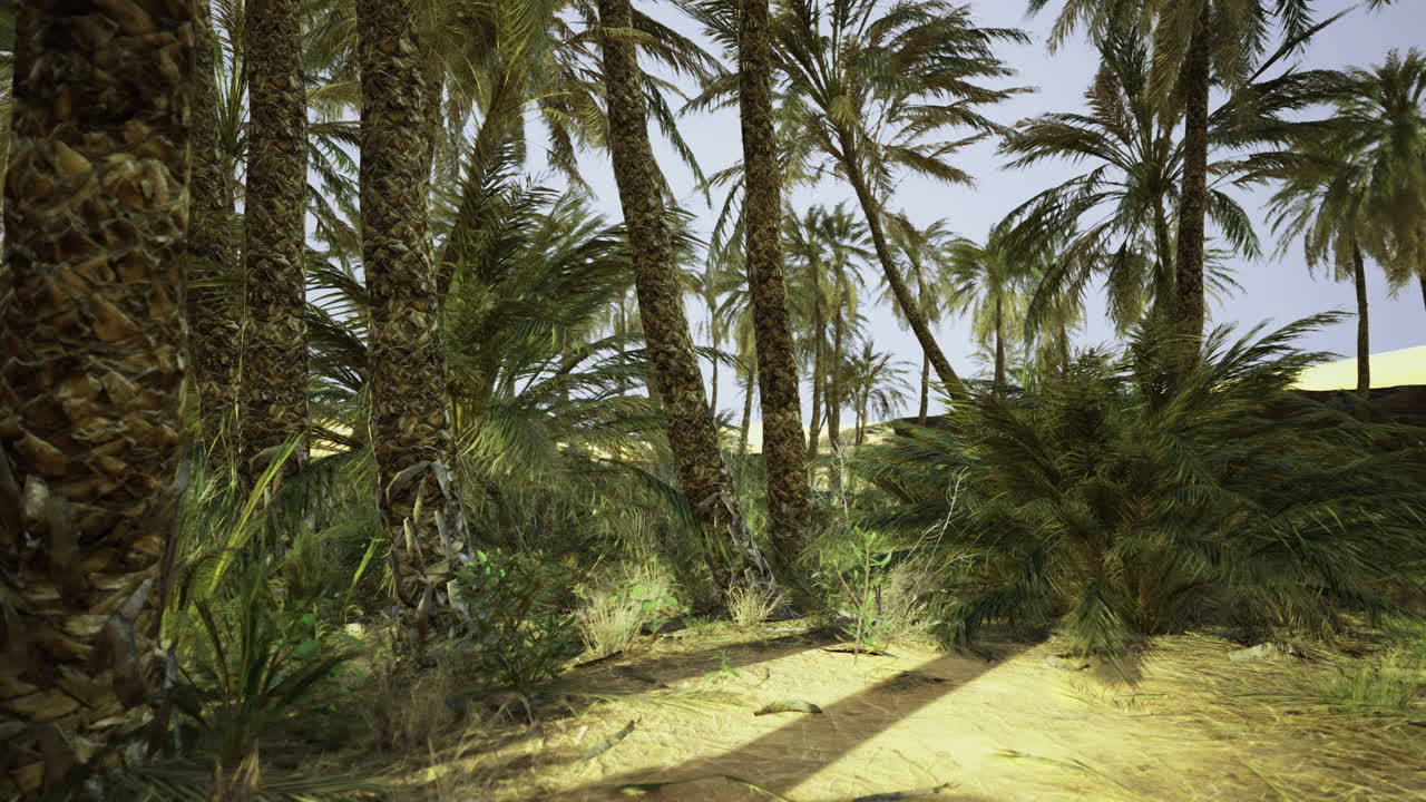 Serene desert landscape with palm trees and lush greenery