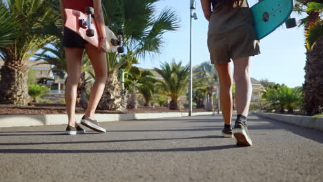 walking with skateboards near palm trees, companions head to the park, sharing animated conversation, laughter, and bright smiles, captured in slow motion as the sunset casts its glow