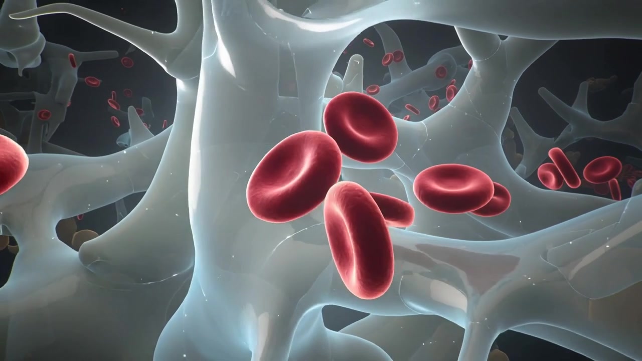 Camera gliding, red biconcave cells flowing through tubular scaffold past pale masses for transport