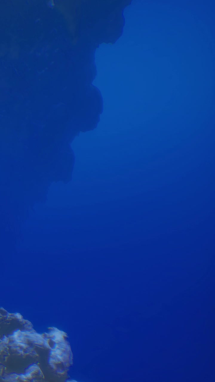 Scena subacquea che mostra una barriera corallina e l'acqua blu dell'oceano