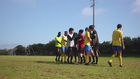 playing soccer, team members shaking hands and celebrating on field