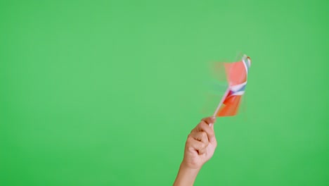 hand waving a pennant of a norwegian national flag