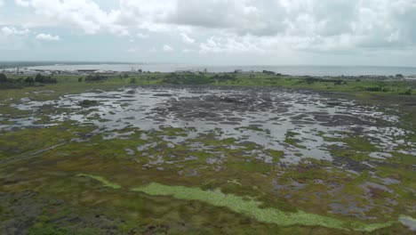 the pitch lake in la brea trinidad, largest natural deposit of asphalt in the world