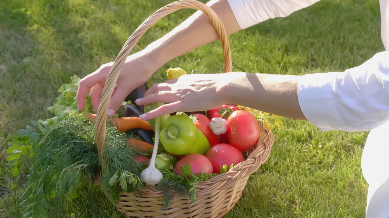 Woman harvesting fresh vegetables from garden