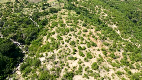 Drone-View-Of-West-Pokot,-North-Rift--kenia--:temporada-De-Lluvia-Verde-En-Las-Partes-Secas-Del-Norte-De-Kenia