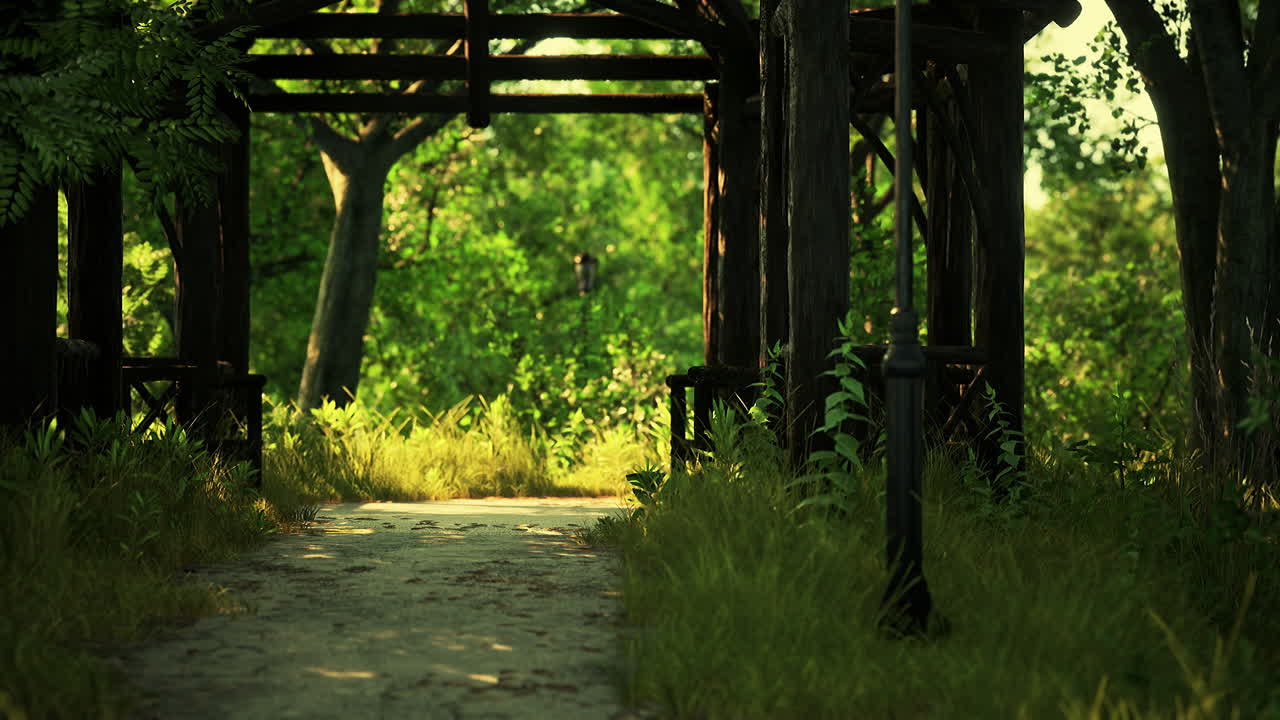 공원 안의 산책로