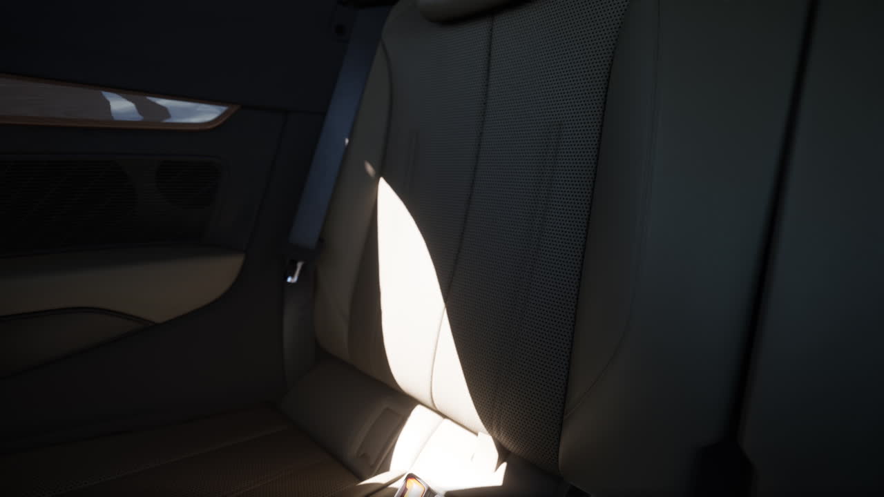 고급 자동차 의 구 을 은 가죽 뒷좌석 의 근접 사진