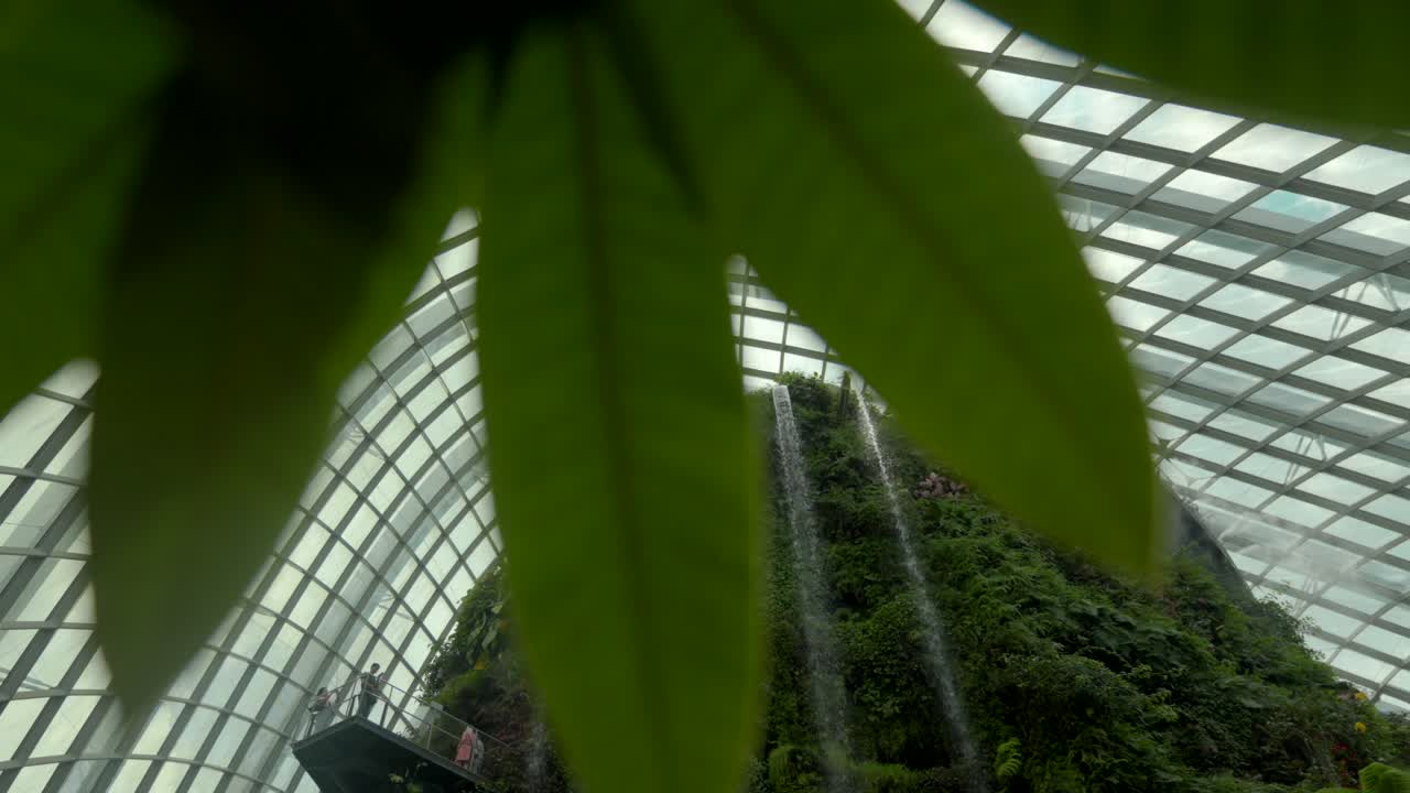 Revelação da cachoeira principal da Floresta Nublada, Gardens by the Bay, Singapura, através de folha