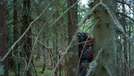 male tourist hiking through forest