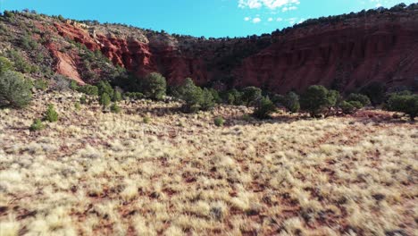 Drone-flying-at-low-altitude-over-colorful-grass-meadows-with-red-mountains-in-background,-Capitol-Reef-National-Park-in-Utah,-USA