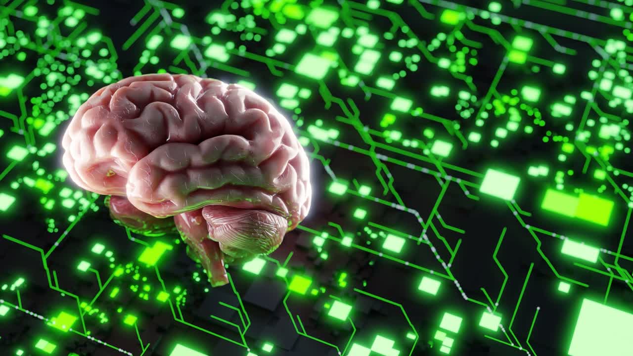 Human brain model floating over glowing green digital circuit background. 3D render of brain and illuminated tech network. Artificial intelligence and neural data flow concept.