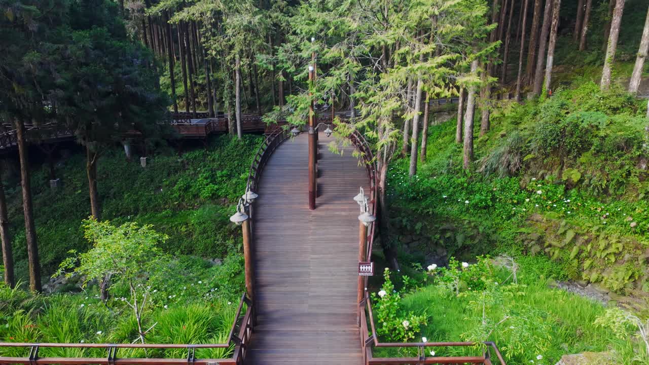 Scenic Zhouzi bridge through lush forest in Taiwan, peaceful mood captured