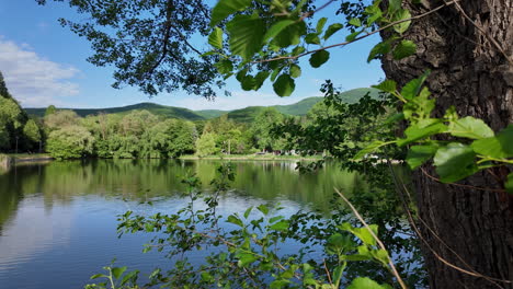 un soleado día de primavera en un pequeño lago