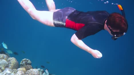 snorkeler coral reef in the maldives