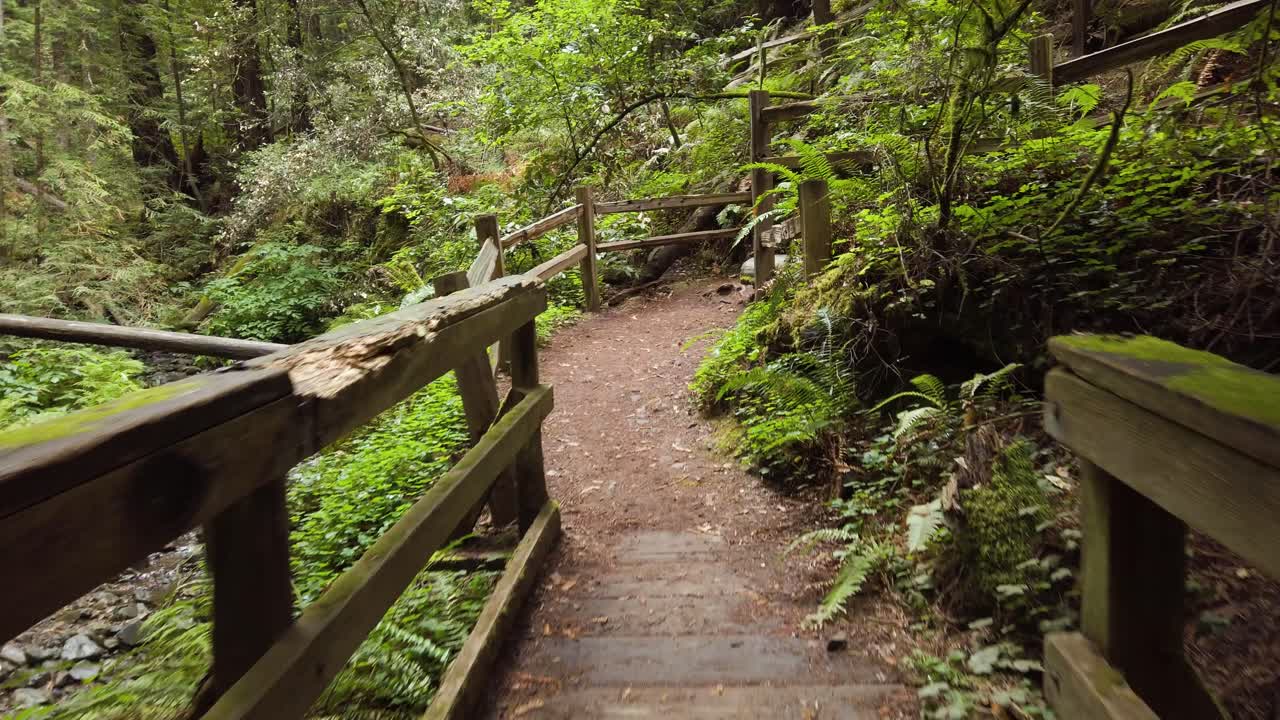 사람이 나무가 우거진 지역에 나무 다리를 만든 것을 건너는 것