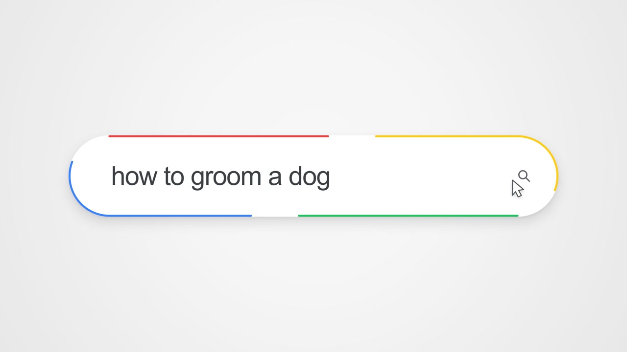 How To Groom A Dog Being Typed Into An Online Search Bar Field - Pet Care And Animal Grooming. close-up shot