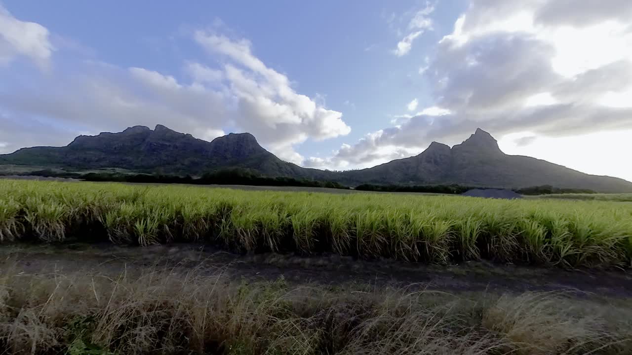 A scenic drive through Mauritius with towering rock formations in the background and lush sugarcane fields in the foreground.