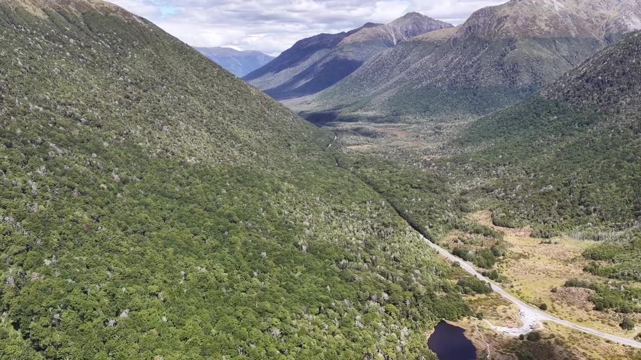 Prospettiva aerea su una valle montana boscosa sull'Isola del Sud della Nuova Zelanda, che rivela una fitta vegetazione autoctona incorniciata da ripidi pendii alpini.