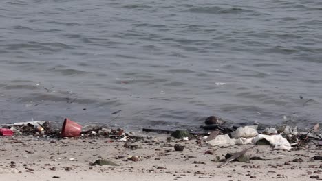 a lot of rubbish on the beach