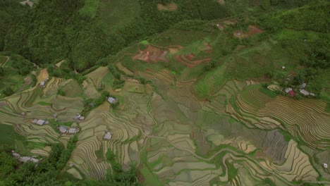 drone volando sobre sa pa moviéndose hacia atrás, revelando hermosos campos de arroz en el valle