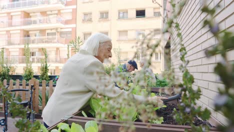 elderly women enjoying urban gardening on a balcony