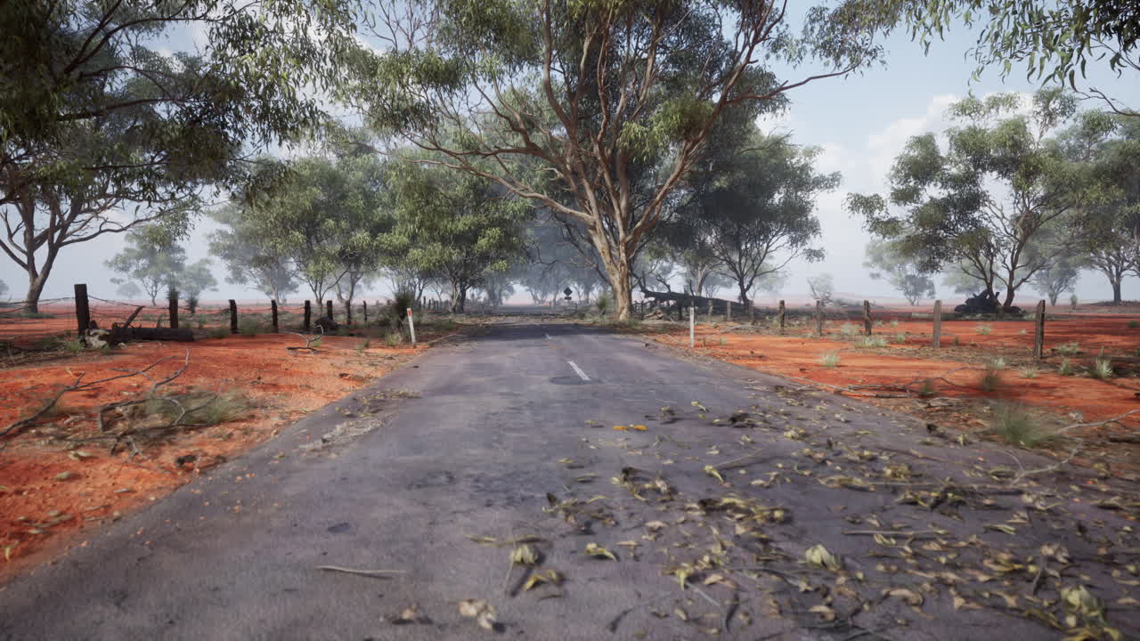 오스트레일리아 외의 외로운 사막 도로