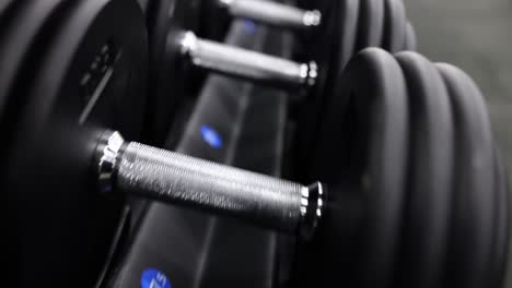 a rack of dumbbells in a gym