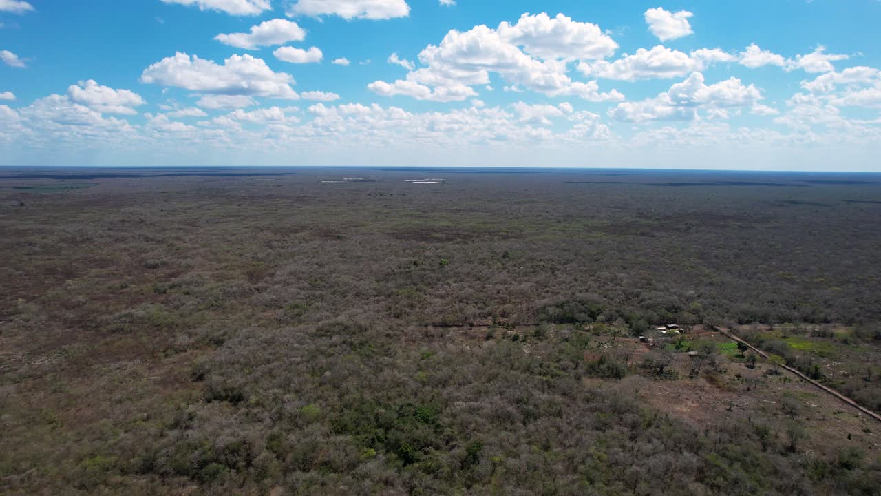 tomada de avión no tripulado de la selva maya en yucatán, méxico
