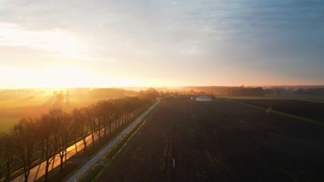 sunrise over dutch farmland