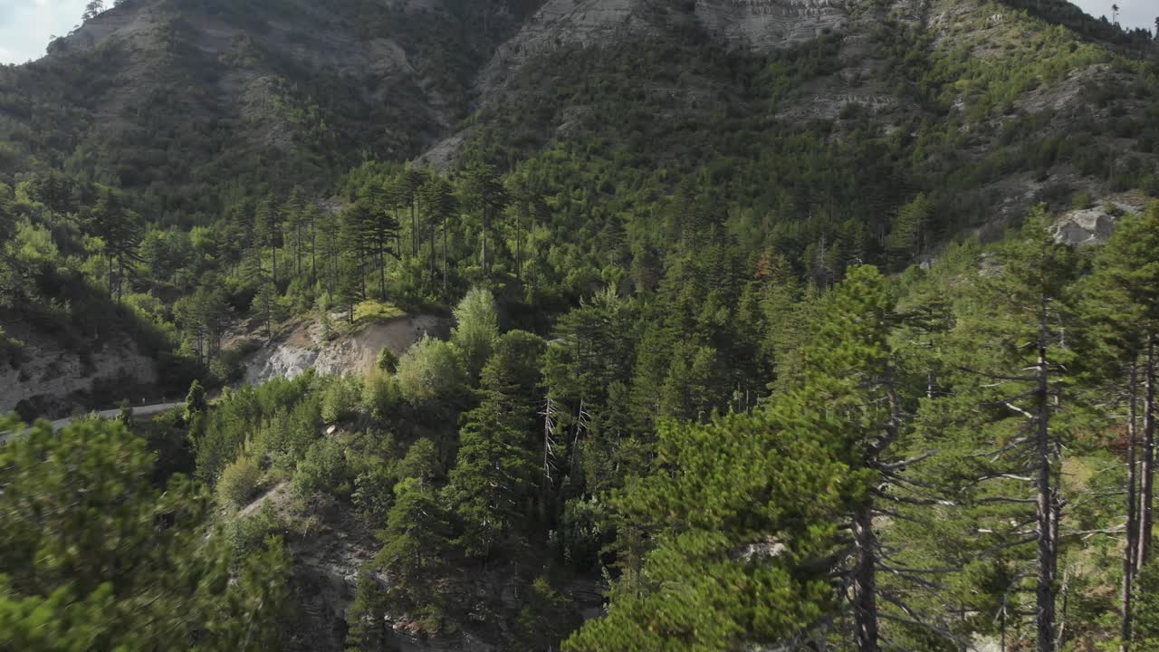 video de drones volando cerca de pinos en un bosque salvaje en el monte gramos grecia panorámica izquierda