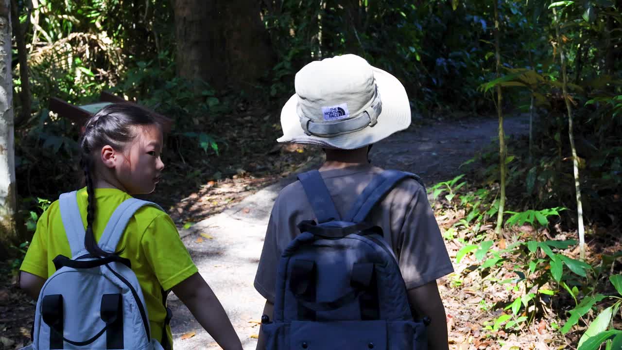 Two young Asian children with backpacks hold hands while walking along a sunny forest path